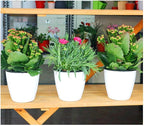 5.2“ Self Watering Planter White Flower Pot, 3 Pcs Medium Planter Pot, Mini Plant Pot, for All Plants, Herbs, African Violets, Succulents, Flowers Or Start Plants, White, 5 inch