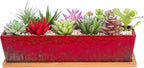 Succulent Pots - Large Succulent Planter Pots with Drainage, 12 Inch Long Rectangle Bonsai Pot with Bamboo Tray Shallow Ceramic Cactus Flower Planter Window Box for Home Garden Decor (Red)