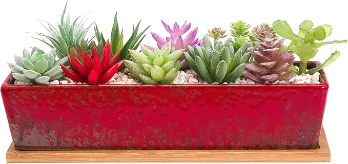 Succulent Pots - Large Succulent Planter Pots with Drainage, 12 Inch Long Rectangle Bonsai Pot with Bamboo Tray Shallow Ceramic Cactus Flower Planter Window Box for Home Garden Decor (Red)