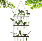 Terrarium Wall Hanging Propagation Station, 3-Tier Wood Frame, Glass Tubes