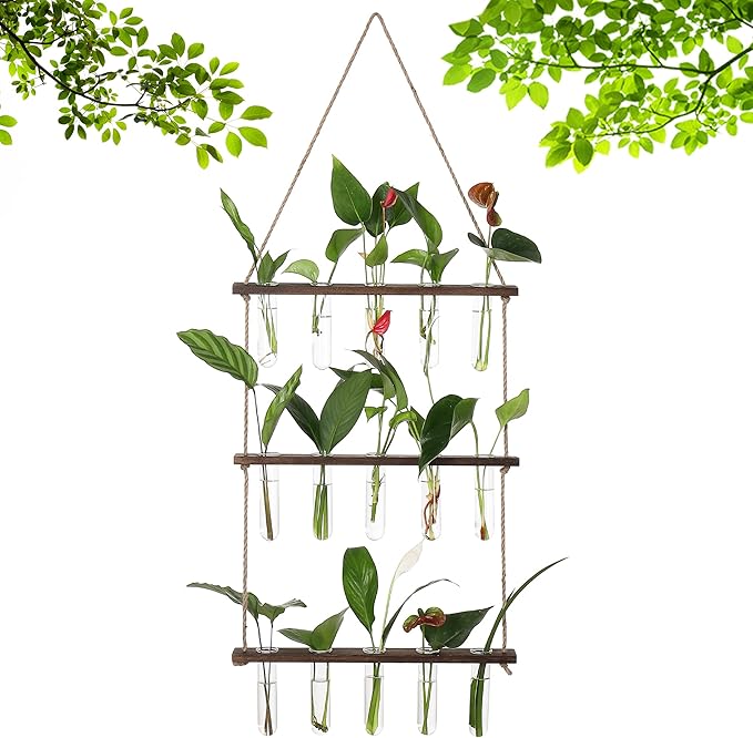 Terrarium Wall Hanging Propagation Station, 3-Tier Wood Frame, Glass Tubes