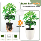 Self Watering Pots for Indoor Plants, 8-Pack 5'' Self Watering Planter with Drainage Holes, Small African Violet Pots with Water Level Indicator, Clear Wick Pot, White/Black