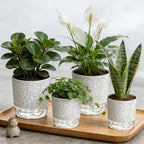 Self Watering Pots for Indoor Plants, 4/5.5 Inch Crackle Pattern Planters with Clear Water Reservoir & Wick System, 4 Pack Plastic Flower Pots for Succulents, Herbs, African Violets