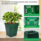 Square Seedling Nursery Pots 3.15 Inches 100 Pcs for Small Succulents or Cacti Flower Plastic Pots Sturdy Reusable (Green, 3.14Inches,100Pcs)