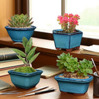 Planters: 6-Pack Blue Glazed Ceramic Mini Bonsai Pots with Drainage Holes