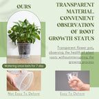 Self Watering Pots for Indoor Plants with Deep Reservoir and High Drainage Holes for Outdoor Plants and Flowers, Bare Root Planter(8.27'',Clear,6 Pcs)