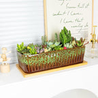 Succulent Pots - 12 Inch Large Succulent Planters with Drainage Tray, Window Sill Planter, Long Rectangle Ceramic Pots for Indoor Cactus Plants Shallow Bonsai Window Box for Home Garden Decor