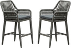 PURPLE LEAF Outdoor 24" Counter Height Bar Stools Chair Set of 2, All Weather Rattan and Aluminum Patio Bar Stool with Cushion for Indoor and Outdoor, Kitchen Island, Smoke Grey
