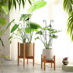 23in Plant Trellis Indoor, Trellis for Potted Plants with Butterfly, Garden Trellis Climber Support for Climbing Plants Pothos Hoya Vine