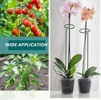 MAFONE 6 Pack 24inch Plant Support Stakes,Plant Stick for Two Sizes(12 or 24Inch) Garden Single Stem Flower Support Stake Plant Cage Support with 20pcs Clips and Plant Ties for Tomato Orchid Lily