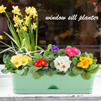 6 Pack Rectangle Planter 16x4.4 Inch Window Boxes Planters Rectangular Large Window Sill Planters Indoor Self Watering Plant Pots with Drainage Holes and Saucers Succulent Herb Flower Pots, Green