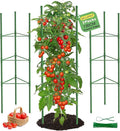 6 Pack Tomato Cages, 51.2in Tomato Plant Support Stakes Heavy-Duty, Garden Tomato Cages & Trellis for Climbing Vegetables, Tomatoes, Peppers, and Potted Plants(6)