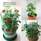 LEOBRO Tomato Cage, 2 PCS Small Plant Support Cage Rust Resistant Garden Ring Stake Plant Support for Tomato, Trellis, Climbing Plant, Flower, Plant Cages for Small Plants,17.7" H