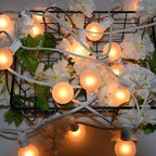 String Lights 25 Ft Frosted Globe G40 Bulbs, Warm White, Waterproof
