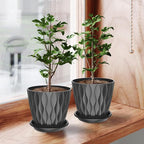 6 Pack 6 Inch Indoor Plant Pots with Drainage Holes, Outdoor Plastic Decorative Flower Pots, Garden Planters with Tray Saucers for Orchids, Violets, Succulents, Herbs, and Other Plants