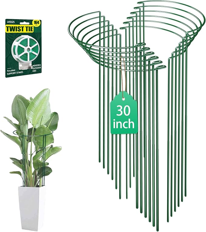 Plant Support Stakes, 30 Inch Half Round Green Iron, 12 Pack