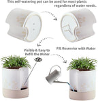 Nihow Self Watering Plant Pot: 8 Inch Ceramic Planter with Drainage Hole & Water Storage Plus for Indoor & Outdoor Plants - Cylinder Round Flower Pot for Succulent/Herbs/Violets - Nature & White