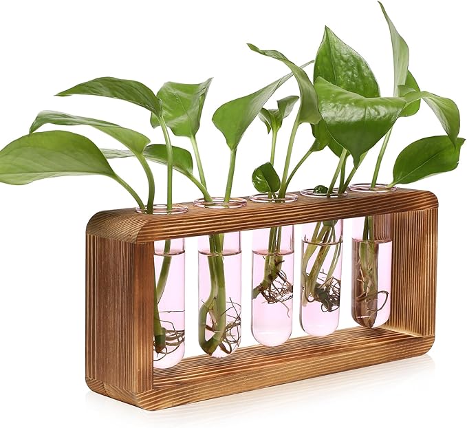 Terrarium Propagation Station with Wood Stand and 5 Glass Test Tubes