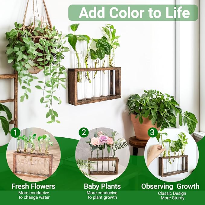 Terrarium Propagation Station with 5 Glass Test Tubes, Brown Wood Stand