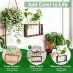 Terrarium Propagation Station with 5 Glass Test Tubes, Brown Wood Stand
