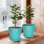 6 Pack 6 Inch Indoor Plant Pots with Drainage Holes, Outdoor Plastic Decorative Flower Pots, Garden Planters with Tray Saucers for Orchids, Violets, Succulents, Herbs, and Other Plants