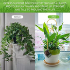 4 Pcs Small Metal Trellis for Potted Plants,Gold Trellis for Climbing Plants Indoor,Small Trellis for Potted Plants Support Stake House Plant Trellis for Garden Potted Plant,Hoya,Pothos,Flower