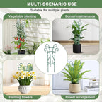 10 Pack Indoor Plant Trellis for Potted Plants, Stackable Garden Trellis for Climbing Plants Outdoor, Small Trellis for Houseplants Rose Hoya Pothos Plant Climber Support