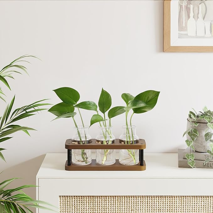 Terrarium Propagation Station, Brown Wood Stand with 3 Glass Jars