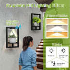 BAOYOUNI 2 Pack Picture Frame Wall Plant Holder with Light,Metal Window Plant Shelf，Modern Floating Plant Stand for Indoor Outdoor Patio Balcony Garden Living Room Bedroom