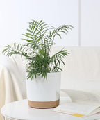 kubvici 2 Pack 8 Inch Planters for Indoor Plants, Plastic Flower Pots Plant Pots Indoor with Drainage Saucer for Outdoor Garden Home Plant, White 8”