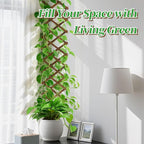 Pack of 2 Extra Thick Wooden Wall Trellis- Expandable Wall Planter Lattice Panels for Climbing Plants, Hanging Vertical Plant Support Fence Frame Outdoor Indoor for Balcony Patio Garden Room