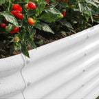 Land Guard 18“ Tall 4×2ft Galvanized Raised Garden Bed Kit, Galvanized Planter Garden Boxes Outdoor, Oval Large Metal Raised Garden Bed for Vegetables……… (Pearl White, 4×2×1.5ft)