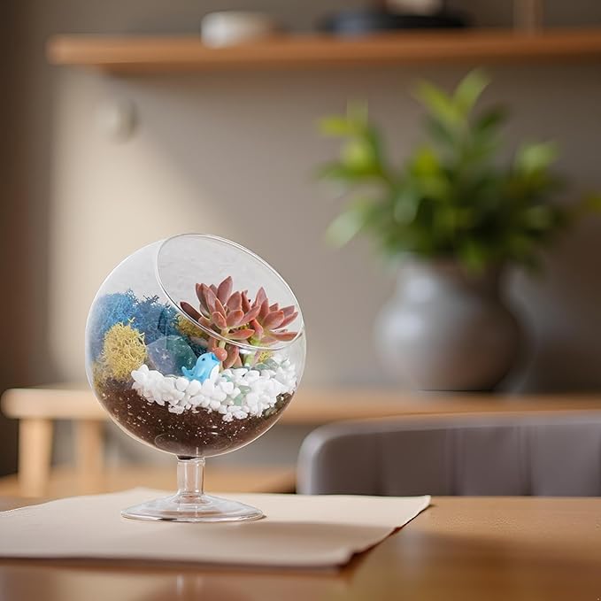 Glass Terrarium Kit with Oval Modern Design and Reindeer Moss