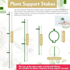 meekoo 30 Pcs Adjustable Garden Plant Support Stakes Single Stem Plant Cage Support Rings with Clips and Connect Pipe for Orchid Rose Tomato, 12 Inch (Green)