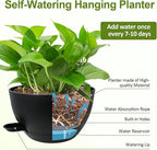 WOUSIWER Self Watering Hanging Planters, 2 Pack 10'' Plastic Pots with Drainage Holes & Reservoir Tray (Black) | Indoor & Outdoor Use for Ferns, Ivy, Herbs, Succulents