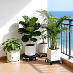 2 Pack Plant Stand with Wheels, Plant Caddies with 360° Lockable Smooth Sliding Wheels Durable Sturdy, Outdoor/Indoor Heavy Duty Rolling Plant Stand for Plant Pot,Flower Pot (11" Black Square)