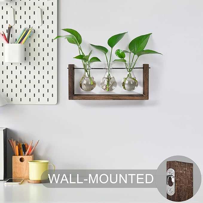 Terrarium Wall Hanging Propagation Station, 3 Glass Vases, Brown Wood Frame