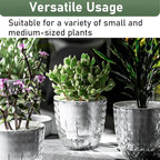 2 Pack 4 inch Self Watering Plants Pots Planters for Indoor Plants, African Violets Pots with Drainage Holes and Tray, Modern Plastic Flower Nursery Pots for Succulents,Herbs,Cactus