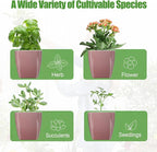 8 Pack Self Watering Pots 4-inch Decorative Flower Planters for Indoor Plants Modern Square planters for Small Plants Window Sill Planters for Succulents, African Violets, Herbs(Rose Gold)