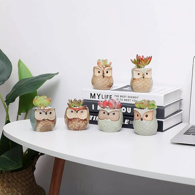 Planter Pots Mini Ceramic Owl Design, 12 Pack with Drainage Holes