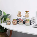 Planter Pots Mini Ceramic Owl Design, 12 Pack with Drainage Holes