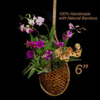 Handmade 100% Thai Bamboo 6 Inch Signature Super Sanctuary SIAM Orchid Hanging Basket with Nursery Grade Coconut Shell Staves Coir Pith Sponge & Husk Mulch