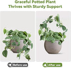 2 Pack Round Plant Trellis for Potted Plants Indoor Outdoor, Acrylic Small Trellis for Climbing Plants, Plant Support for Hoya Pothos Vine Ivy Monstera Flower Philodendrons Dischidia