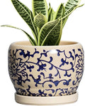 SQOWL Ceramic Flower Pots - 6 Inch Plant Pot Indoor with Drainage Hole and Saucer, Porcelain Ceramic Planter Outdoor, Decorative Round Small Planter, House Decor, Plant Lover Gifts, Blue and Beige