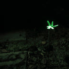 Outdoor Solar Garden Stake Light - Color Changing Decorative LED Stake Lamp In-ground Landscaping Lighting for Garden Patio Yard Lawn Pathway Flower Bed Decor Decorations Figurine Dragonfly