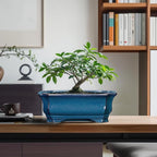Bonsai Pots 11.6 Inch - Ceramic Succulent Pots with Drainage Hole, Rectangular Planter for Indoor Outdoor, Decorative Ceramic Flower Pot, Home Garden Room Decor, Plant Lover Gifts, Retro Blue