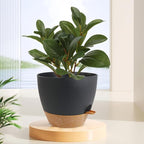 12 inch Large Self Watering Pots, Flower Plant Pots with Drainage Holes for Indoor Outdoor Garden Plants, Plastic Planters with Removable Deep Reservoir, Black with Brown