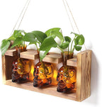 Terrarium Skull Propagation Station, 3 Amber Glass Vases with Wood Stand
