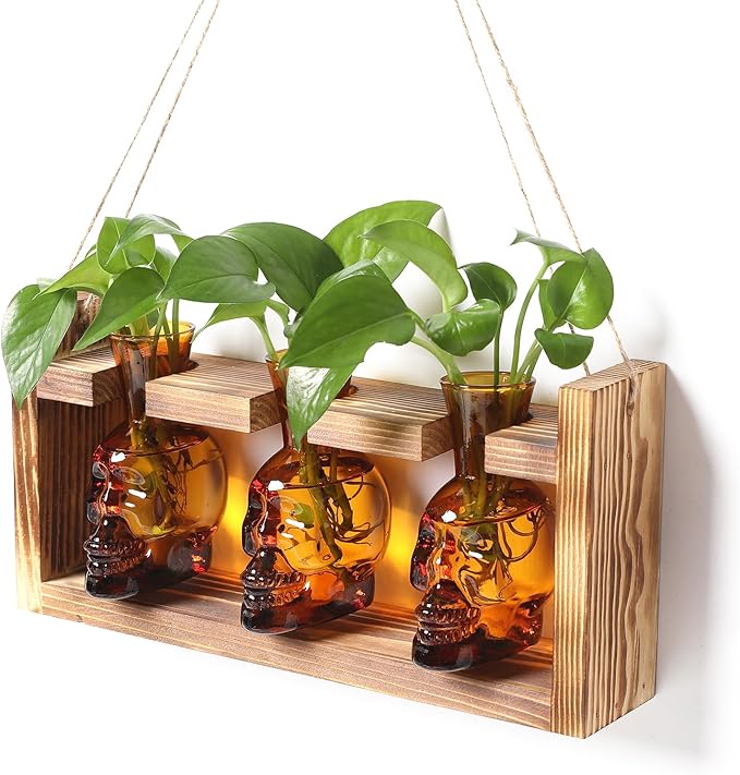 Terrarium Skull Propagation Station, 3 Amber Glass Vases with Wood Stand