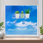 12 Inch 2 Pack Plant Window Boxes Shelf Sill Suction Cup Planter, 5-Inch Extra Wide Window Sill Extender with Load Bearing Bracket for Herbs, Succulents, Clear Acrylic Indoor Plant Stand, Planter Holder